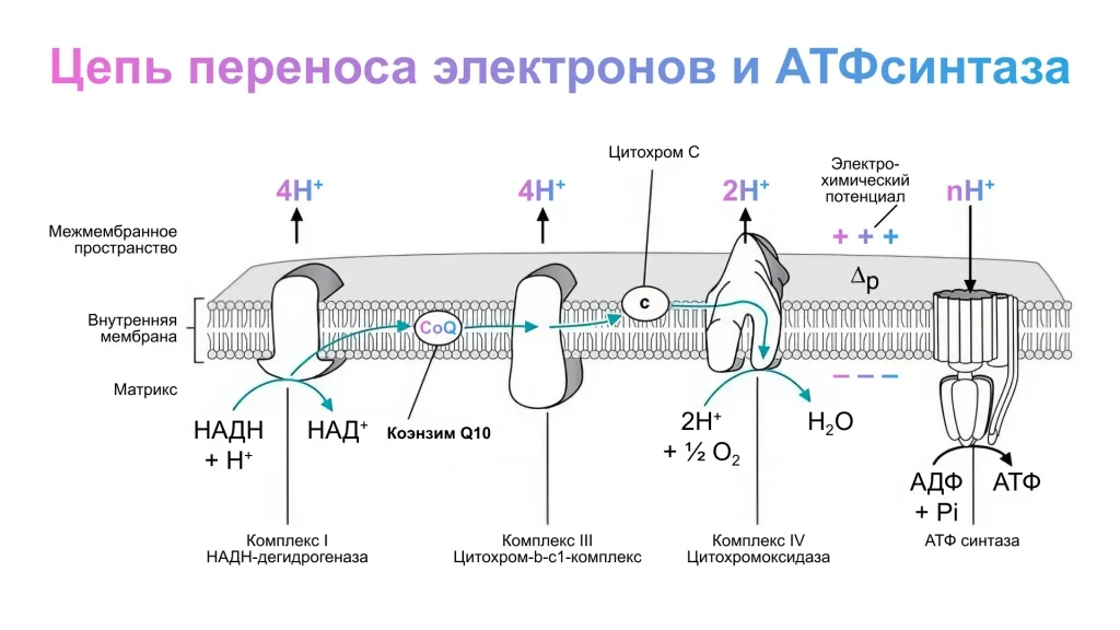 Схемы - 61.jpg